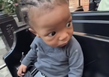 Halle Bailey and DDG's Baby Halo Goes Viral as the Internet's Favorite New Meme